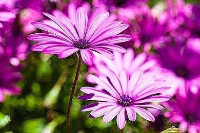 Steam 20周年感谢视频 别忘了领免费礼品！